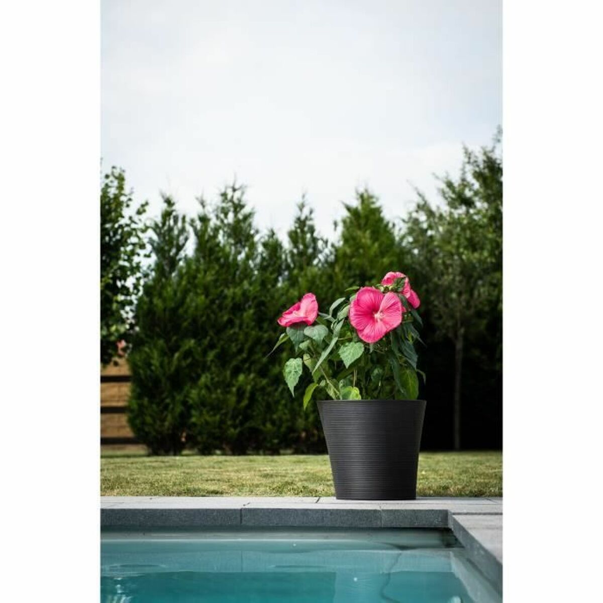 Stiklainis Garden ID Juoda 40 x 34 cm